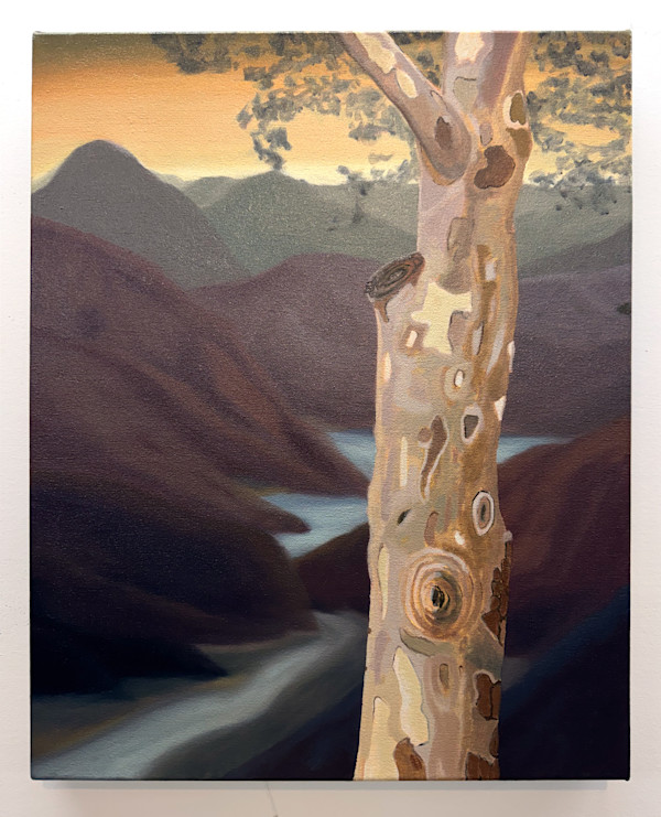 Knots by Mathew Tucker, Image 1.