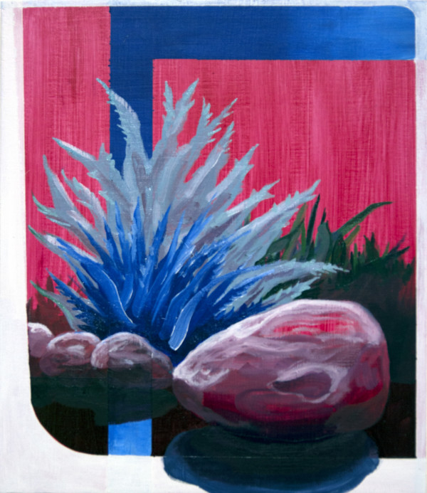 Blue Plants with Pink Rocks by Mathew Tucker
