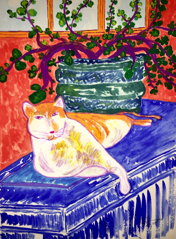 Reclining Cat under a Jade Plant by Don Barnett