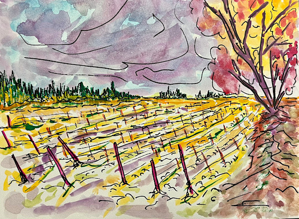 Winter Vineyards by Don Barnett