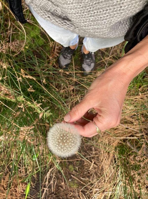 'Dandelion' by Danielle-Raye  Bischoff