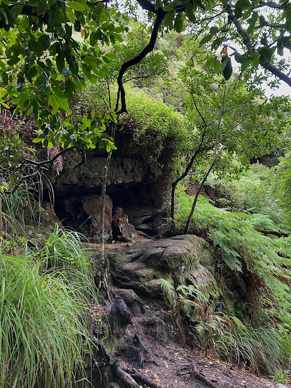 'Untitiled 8' by Danielle-Raye  Bischoff