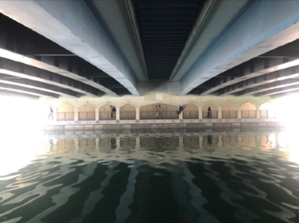 'Crossing' by Danielle-Raye  Bischoff