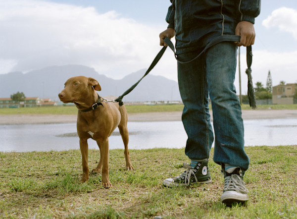 ‘Chico' by Danielle-Raye  Bischoff