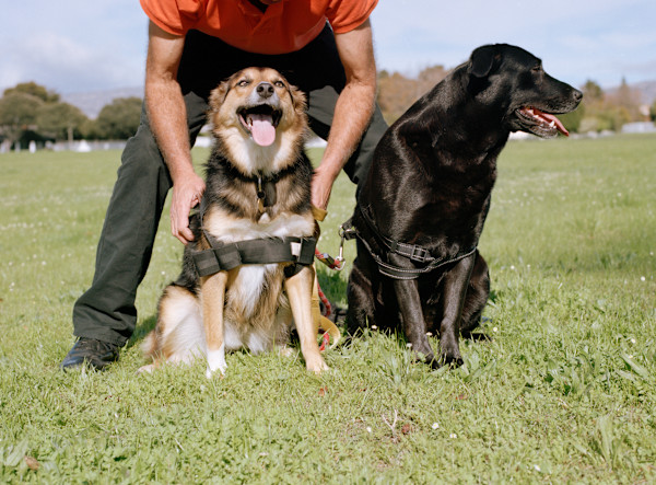 “Milly & Black Lab' by Danielle-Raye  Bischoff