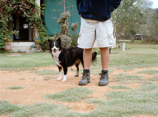 ‘Sheep Dog Mix' by Danielle-Raye  Bischoff