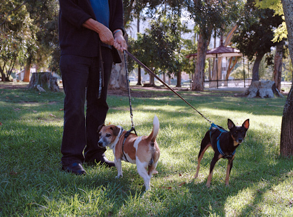 ‘Walter & Hoender' by Danielle-Raye  Bischoff