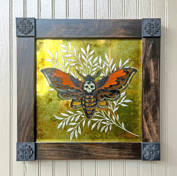 Deaths Head Moth by Sean Michael Felix
