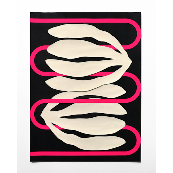 Thin Meander (Rose Fluo) by Elspeth Schulze