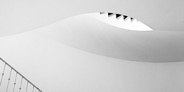 Fly My Beauty by Christoph A. Michaelis