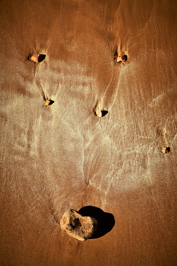 Oh Deer by Christoph A. Michaelis