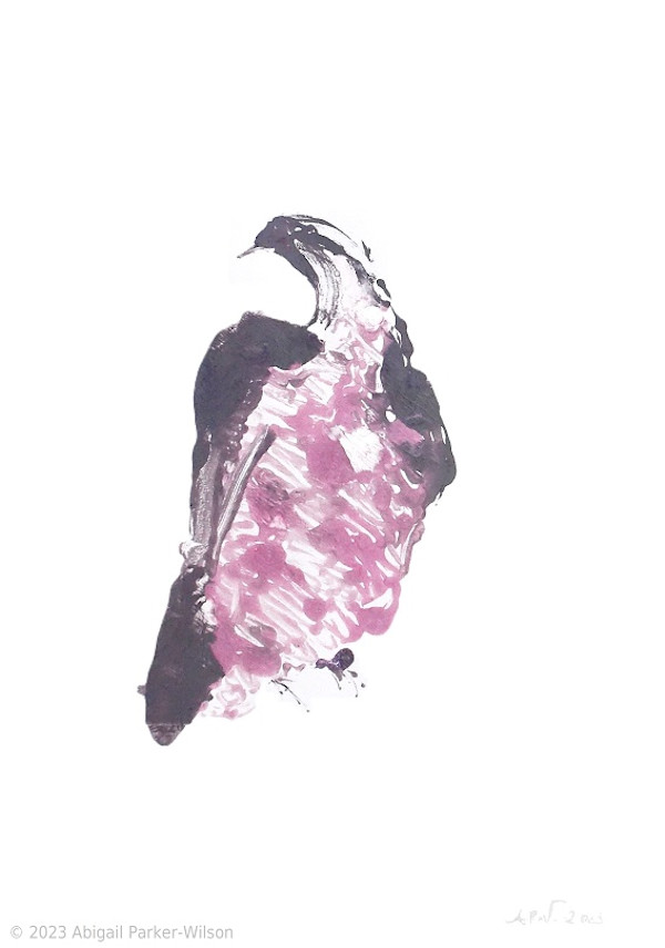 Summer Bird #2 by Abigail Parker-Wilson