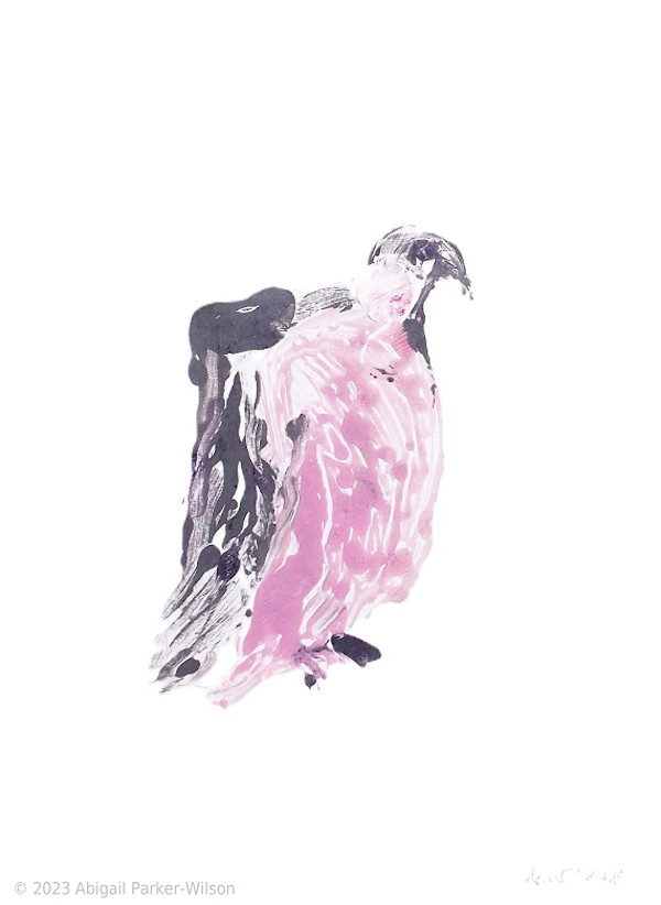 Summer Bird #3 by Abigail Parker-Wilson