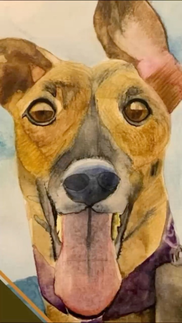 Throughout the years by Victor Vera