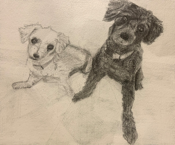 Dogs by Victor Vera