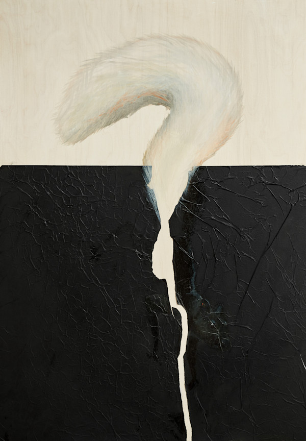 Any Questions Asked by Micky Focke