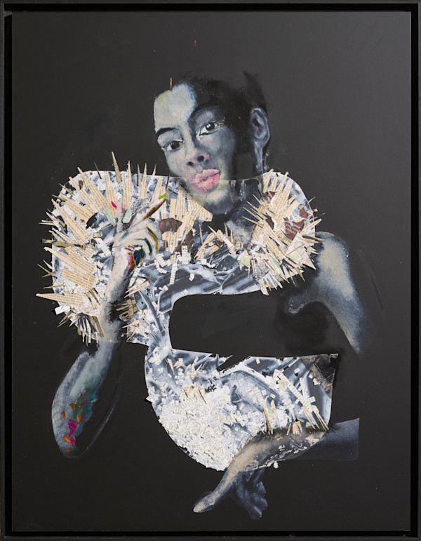 Adonissimo by Micky Focke