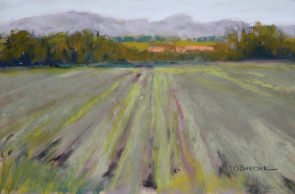 Across the Fields by Ginny Burdick