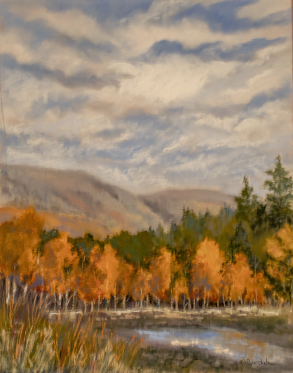 Afternoon Glow by Ginny Burdick