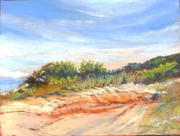 Coastal Dunes Morning View by Ginny Burdick