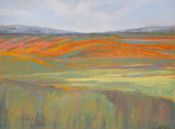 Fields of Color by Ginny Burdick