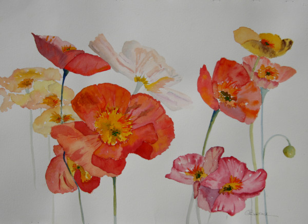 Flowers Dance by Ginny Burdick