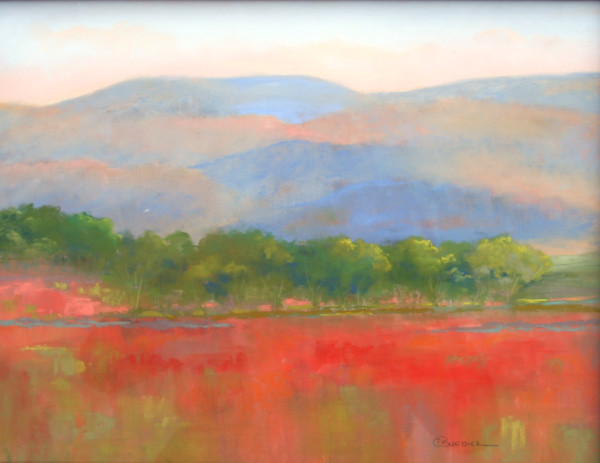 Poppies in the Field by Ginny Burdick