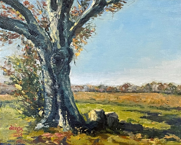 Old Oak atop Kirkwood Hill by Jennifer Gorman-Strawbridge
