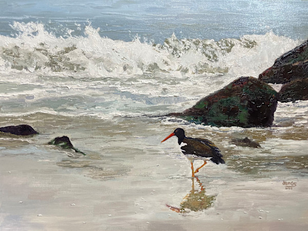 American Oystercatcher Wading by Jennifer Gorman-Strawbridge