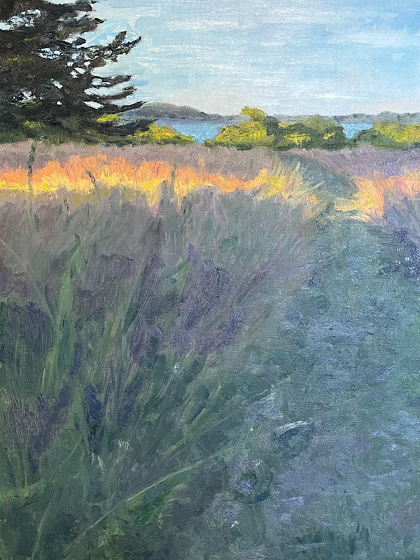 Intersecting Paths by Jennifer Gorman-Strawbridge