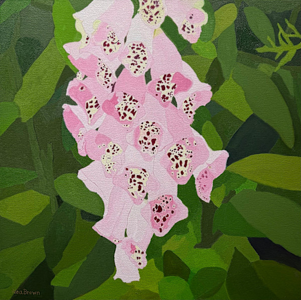 Foxglove by Nea Brown