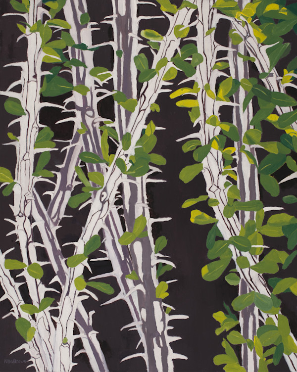 Ocotillo Puzzle by Nea Brown