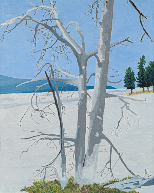 Ghost Trees (Yellowstone) by Nea Brown