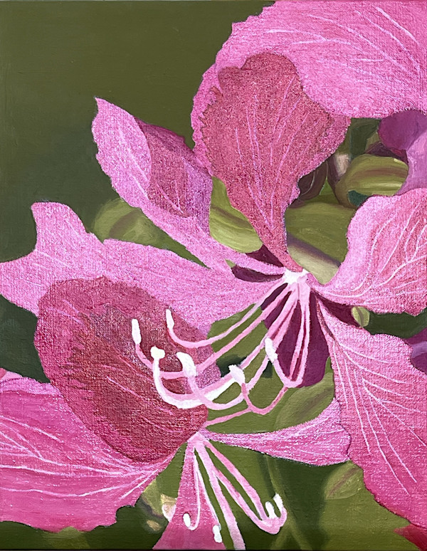 Orchid Tree Flowers by Nea Brown