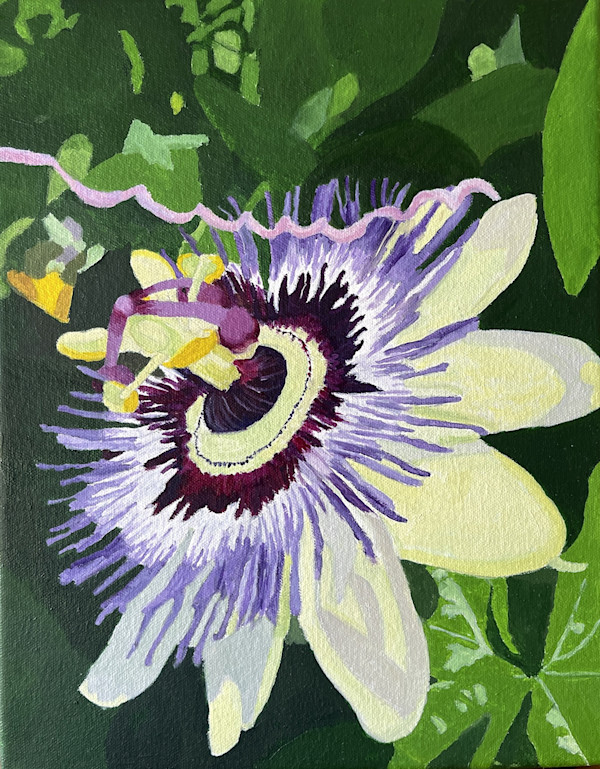 Purple Passion Flower by Nea Brown
