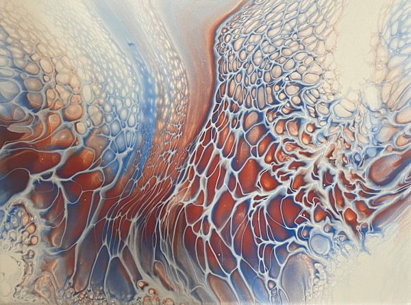 Cosmic Web by Martin Relton
