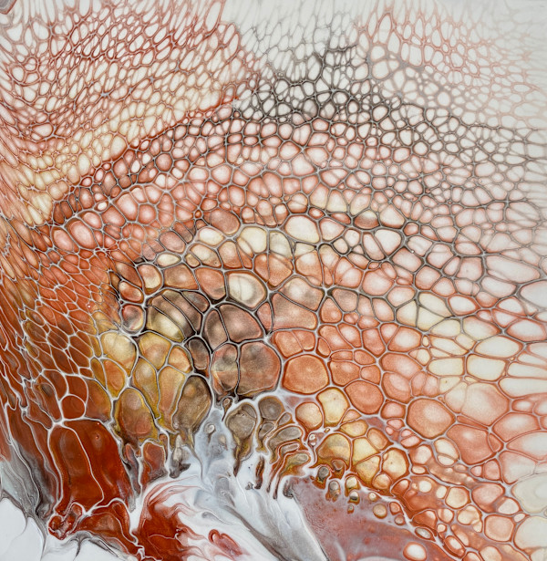 Andromeda’s Veil by Martin Relton