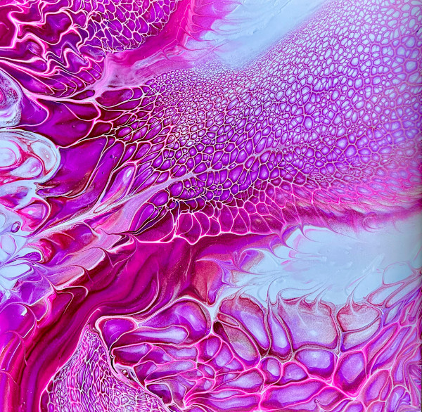 Fuchsia Flow by Martin Relton