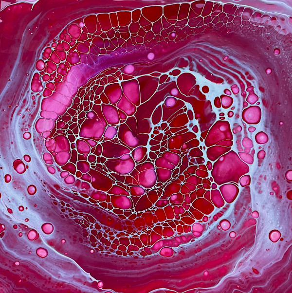 Crimson Mycelia by Martin Relton