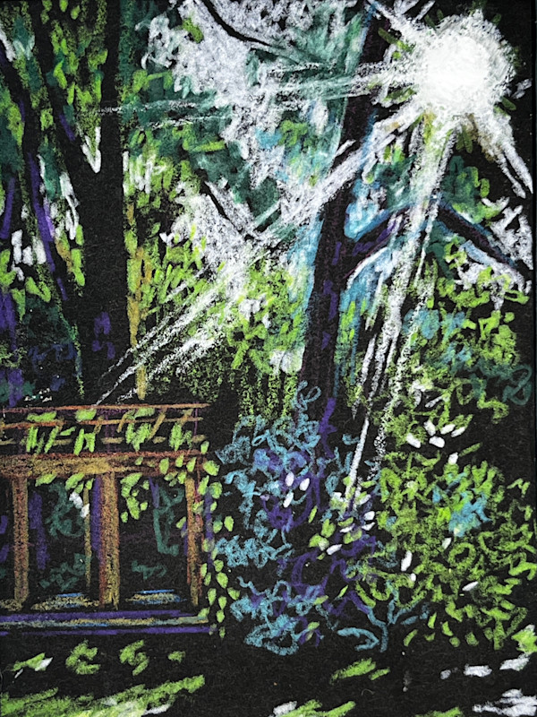 Illuminate by Wendy Born