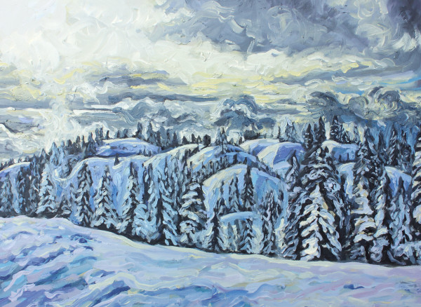 Snow on Seymour II by Cath Hughes
