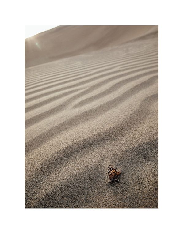 Chaos by Christine Alward