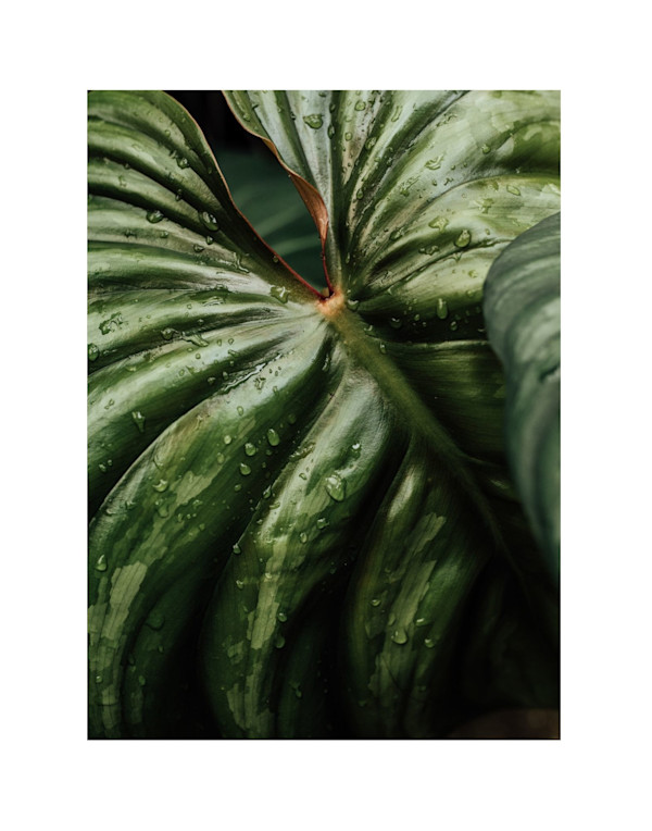 The Future is Female by Christine Alward