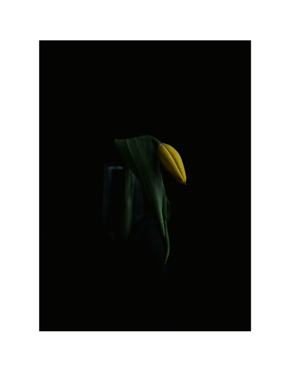 Weight of the World by Christine Alward