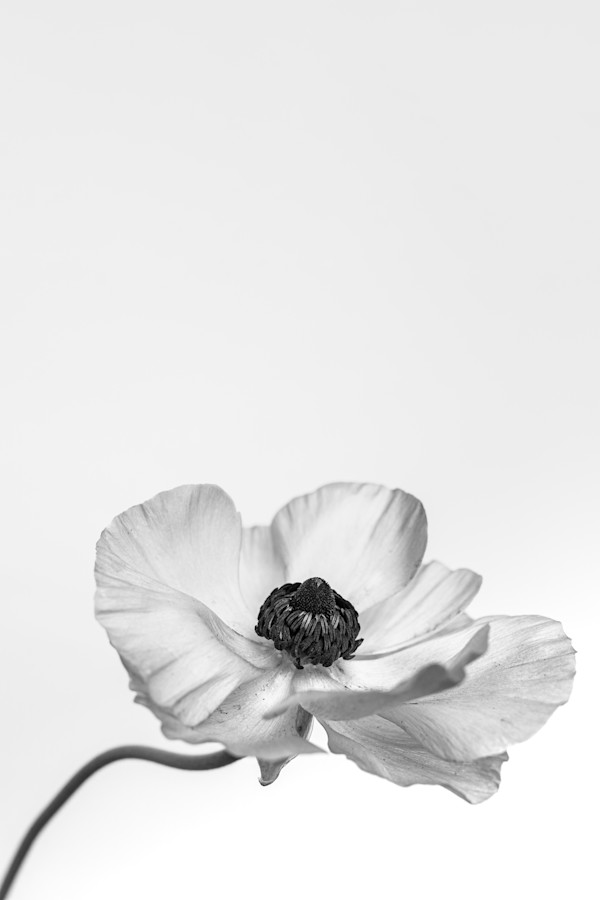 Chin Up by Christine Alward