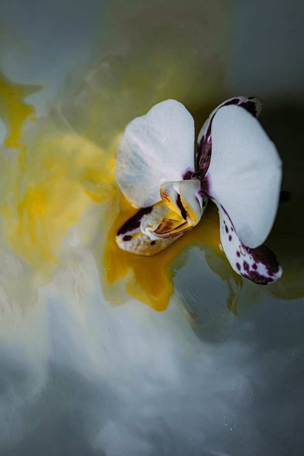 Run Girl, Run by Christine Alward