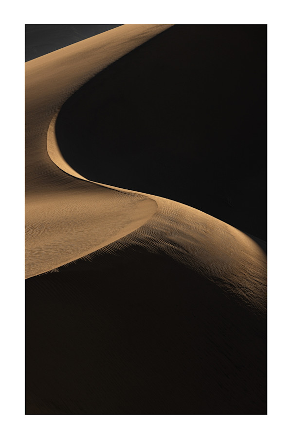 Swanky by Christine Alward