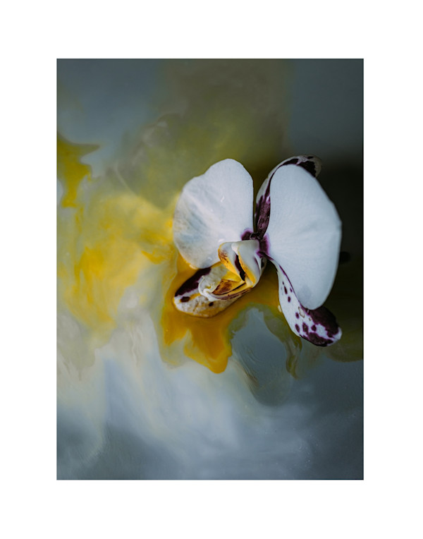 Run Girl, Run by Christine Alward