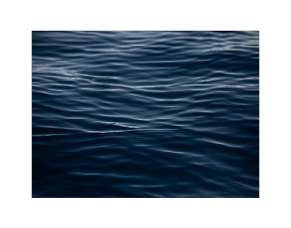 Whale Song by Christine Alward