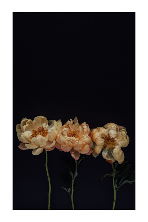 Hey Sis by Christine Alward